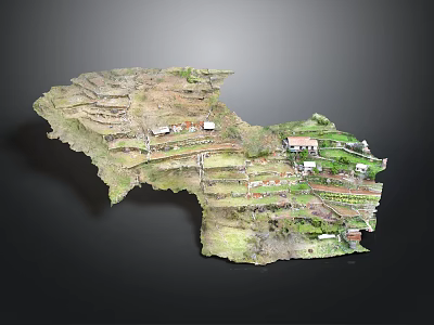 Detailed Terrace Field Scale Model With Layered Fields Traditional Houses And Greenery 3d model