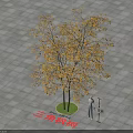 Triangle Maple Tree With Yellow Leaves Standing On Paved Ground In Outdoor Open Space 3d model