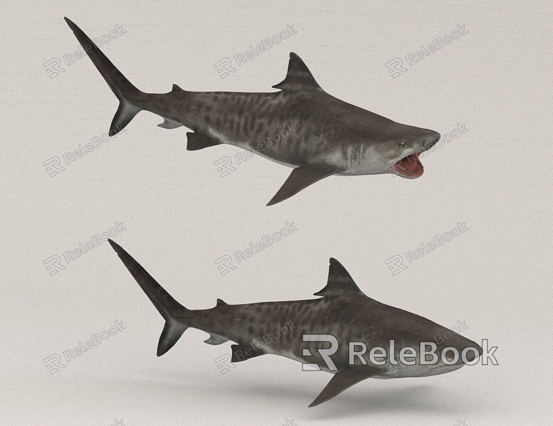 shark marine animal model