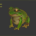 Green Spotted Frog With Yellow Eyes And Toes On Dark Background With Reflection