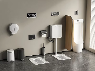 Modern Urinal in Contemporary Bathroom with Toilet Paper Holder Trash Bins and Anti Slip Mats 3d model