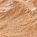 Scenic Desert Landscape with Rolling Sand Dunes and Textured Terrain in Warm Tones