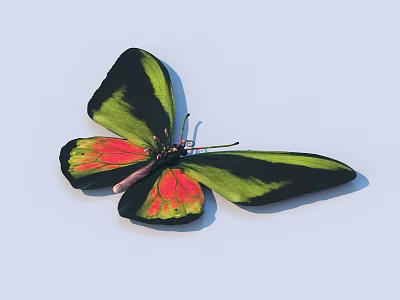 Vibrant Butterfly With Green Black And Red Wings Isolated On White Background 3d model