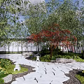 Tranquil Residential Landscape With Bamboo Grove Red Maple Tree Stone Path And White Wall