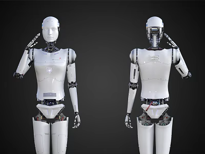 Intelligent Humanoid Robots Saluting In Front And Back Views With Futuristic Design 3d model