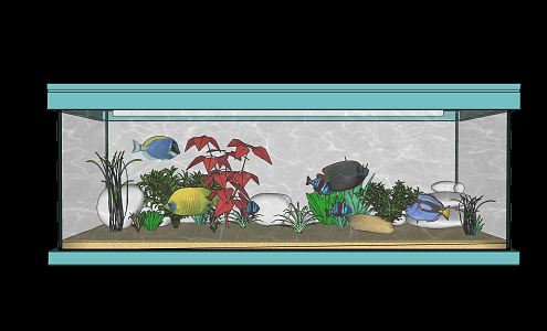 Modern Fish Tank Fish Tank Aquarium Tropical Fish 3d model