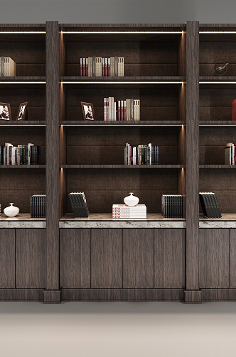 Modern bookcase 3d model