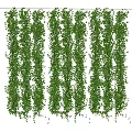 Lush Green Hanging Vines with Natural Foliage for Wall Decoration and Lush Charm
