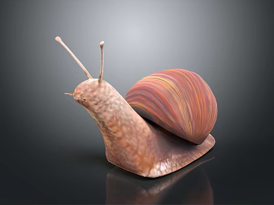 Colorful Striped Shell Reptile Snail With Brown Body On Dark Gradient Background And Reflection 3d model