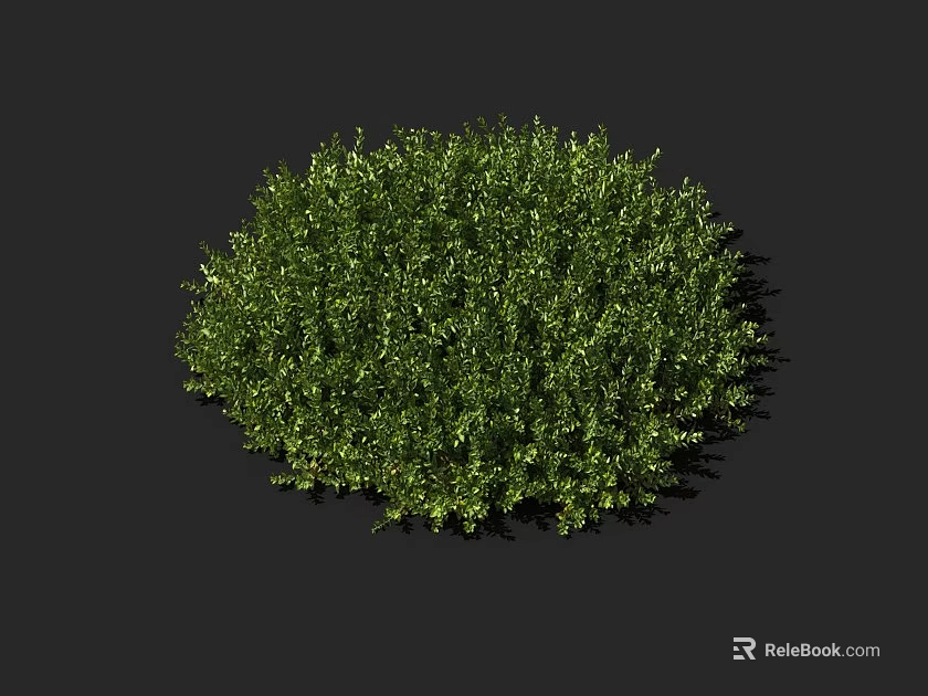 Lush Green Round Shrub With Dense Vibrant Foliage On Black Background 3d model 
