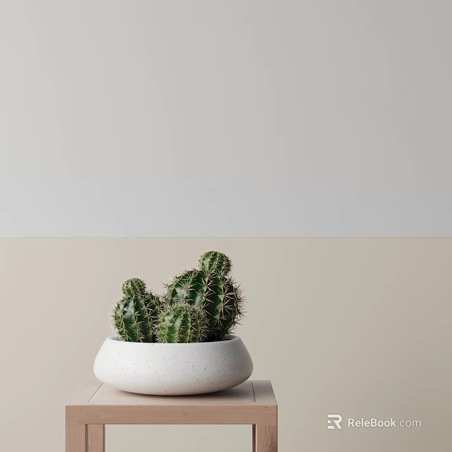 Minimalist Potted Cactus Plant In White Ceramic Pot With Light Background 3d model 