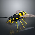 3D Wasp Model With Black And Yellow Stripes Transparent Wings Yellow Legs On Gray Background
