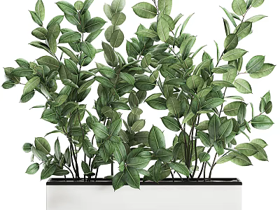 Lush Green Bonsai Potted Plant with Vibrant Leaves in Rectangular White Planter 3d model