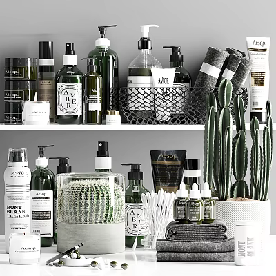 Organized Stylish Bathroom Accessories With Bath Products Bottles Rolled Towels And Cactus Plants 3d model