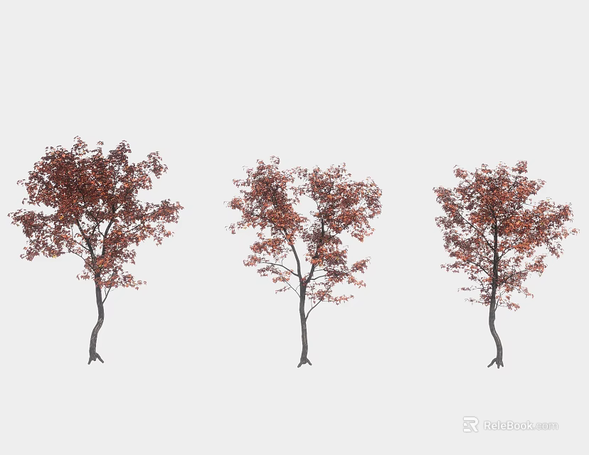 Three Arbor Trees With Red Leaves And Dark Trunks On White Background 3d model