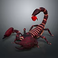 3D Rendered Red and Black Scorpion With Detailed Body Structure on Dark Background