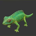Vibrant Green Chameleon With Red Eyes And Yellow Spots On Dark Background And Reflective Floor