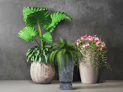 Modern Potted Plant Indoor Potted Plant Combination model