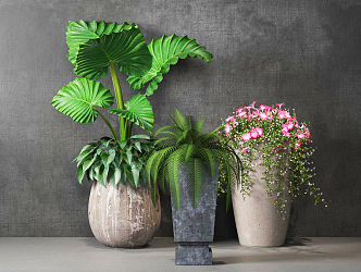 Modern Potted Plant Indoor Potted Plant Combination 3d model