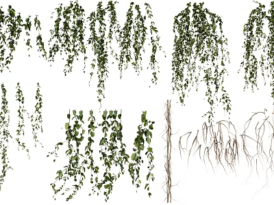 Different Types of Hanging Basket Green Plants Featuring Cascading Vines and Healthy Roots 3d model