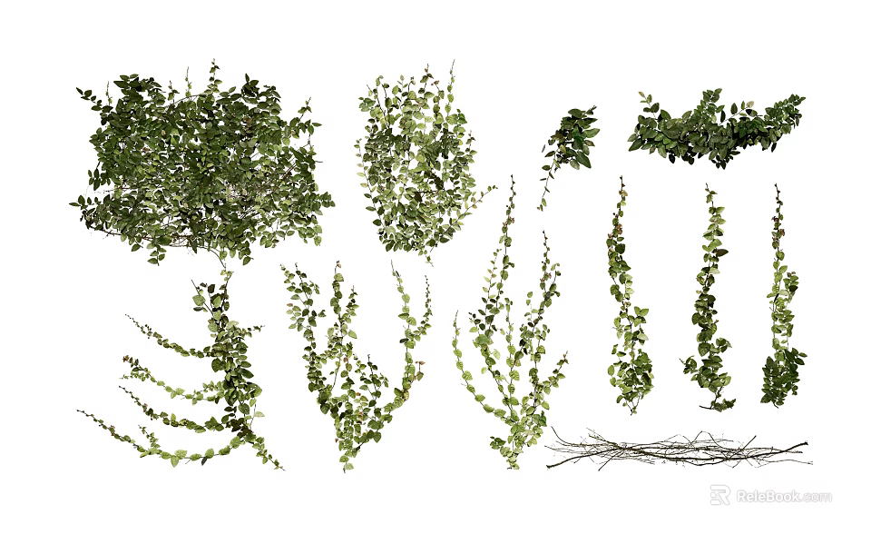 Green Decorative Vine Plants with Various Growing Shapes and Patterns for Garden 3d model 