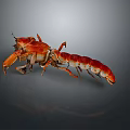 Vibrant Red Aquatic Crab With Claws Legs And Reflection On Gray Background 3d model