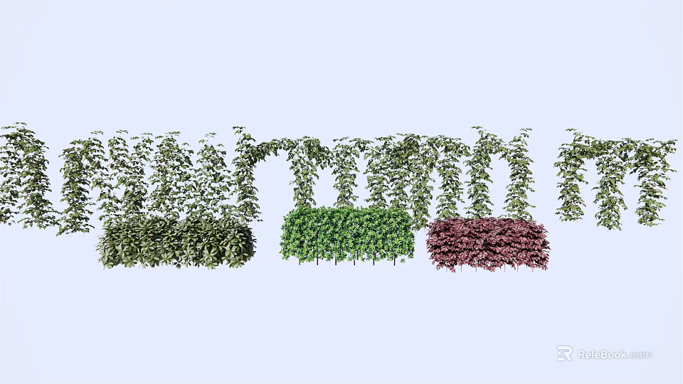Colorful Leafy Vines With Green Red And Purple Foliage For Garden Decoration 3d model 