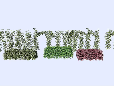 Colorful Leafy Vines With Green Red And Purple Foliage For Garden Decoration 3d model