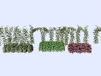 Modern Vine Climbing Vine Plant Shrub Hedgerow Haitong Hedgerow Lophorus chinensis Hedgerow Wall 3d model