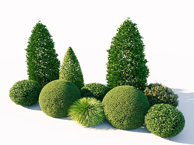 Lush Green Garden Shrubs With Various Shapes Conical And Spherical Neatly Trimmed For Landscaping 3d model