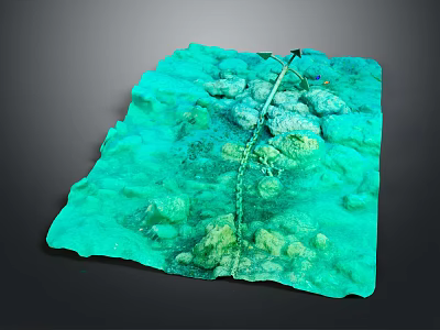 Underwater Seabed Terrain With Green Water Coral Formations And Rocky Outcrops 3d model