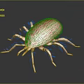 Red Hairy Mite 3D Model with Long Legs on Gray Background 3d model