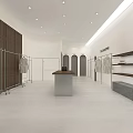 Modern Minimalist Clothing Store Interior With Mannequins Displayed Clothes And Plant Decor