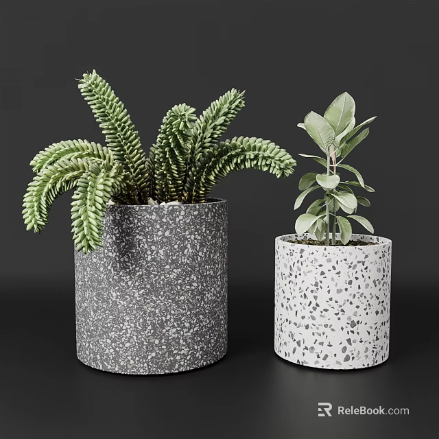 Decorative Potted Plants with Lush Feathery and Oval Leaves in Gray and White Speckled Pots 3d model 