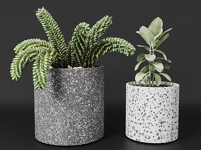Decorative Potted Plants with Lush Feathery and Oval Leaves in Gray and White Speckled Pots 3d model