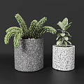 Decorative Potted Plants with Lush Feathery and Oval Leaves in Gray and White Speckled Pots
