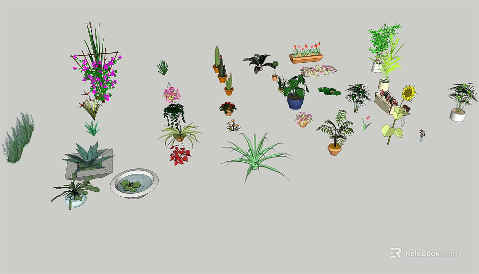 Various Bonsai and Potted Plants with Decorative Foliage Flowers and Containers 3d model 