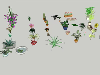 Various Bonsai and Potted Plants with Decorative Foliage Flowers and Containers 3d model