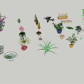 Various Bonsai and Potted Plants with Decorative Foliage Flowers and Containers