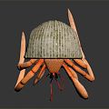 Modern Crab Sea Crab 3d model