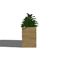 Lush Green Potted Plants In Wooden Rectangular Planter For Home Garden