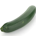 Fresh Green Whole Zucchini Vegetable For Healthy Cooking And Diet Plans