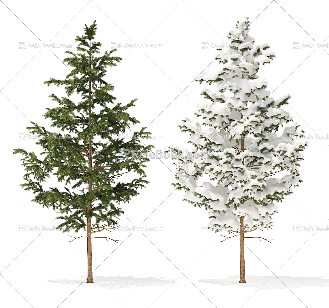 Modern Tree Pine 3d model