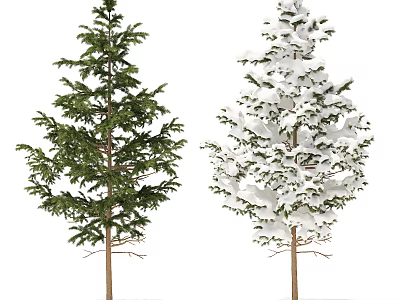 Lush Green Arbor With Fresh Leaves And Snow Covered Arbor In Winter View 3d model