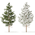 Modern Tree Pine 3d model