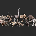 Various Dinosaur Skeleton Models With Different Prehistoric Species Displayed 3d model