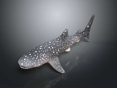 Realistic Whale Shark Model With White Spots On Sleek Body And Reflective Surface 3d model