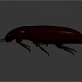 Detailed Dark Red 3D Beetle Model With Shiny Exoskeleton And Segmented Legs