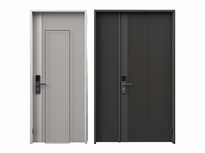 Modern security door model