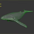 Purple Whale With White Spots 3D Model On Dark Reflective Background